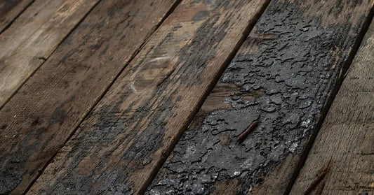 What is Dry Rot and How Can You Prevent Your Deck From Rotting